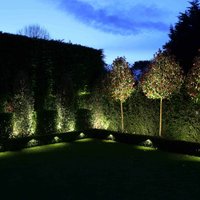 procedure rust Schuldenaar Tuin met LED verlichting laten spreken - LEDshop Groenovatie