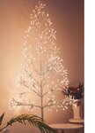 LED Kerstverlichting Medium Boom LED Kerstverlichting Medium Boom