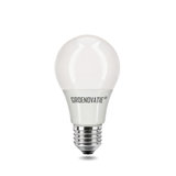 LED lampen Action