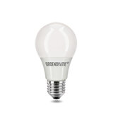LED lampen Action