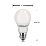 LED E27 12W