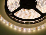 LED strip 230v