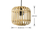 Groenovatie Hanglamp ⌀22 cm