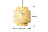 Groenovatie Hanglamp ⌀35 cm