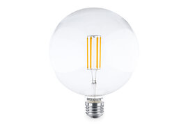E27 LED Filament Grote G180 Globelamp 8W Warm Wit Dimbaar 