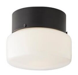 Plafondlamp Met 2 x G9 Fitting, Zwart, Melkwitte Glas, ⌀20cm