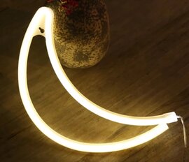 LED Neon Wandlamp 