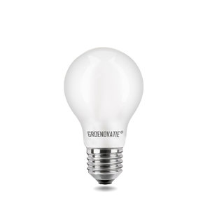 E27 LED Filament Lamp 4W Warm Wit