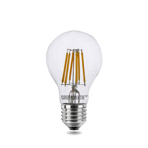 LED Filament E27 6W Dimbaar