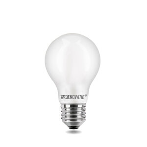 LED Filament Lamp 6 watt